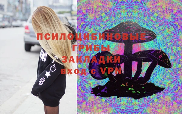 apvp Ростов