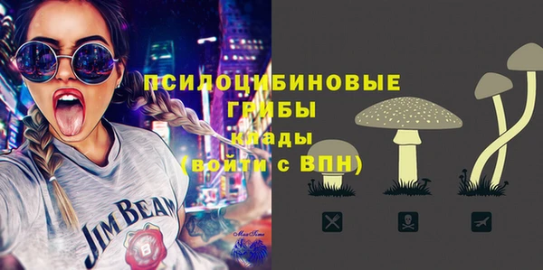 тгк Белокуриха