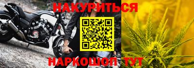 прущие грибы Волгодонск