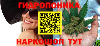 прущие грибы Волгодонск