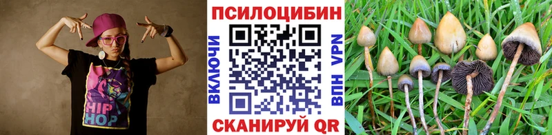 Галлюциногенные грибы Magic Shrooms  продажа наркотиков  Реж 
