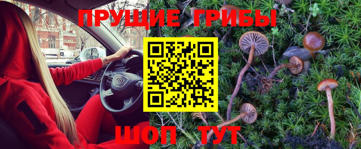Галлюциногенные грибы MAGIC MUSHROOMS  Вход с VPN  Реж 